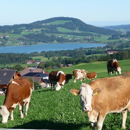 Familienferienhof Stabauer Zell am Moos Bagian luar foto