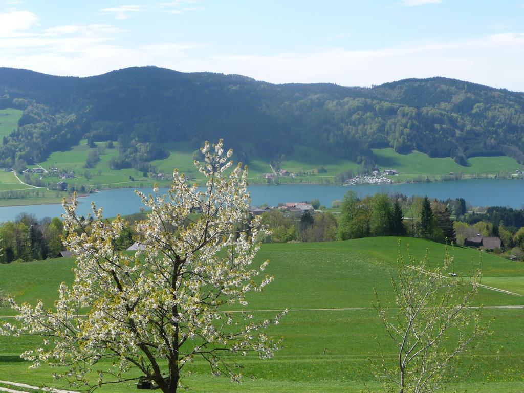 Familienferienhof Stabauer Zell am Moos Bagian luar foto