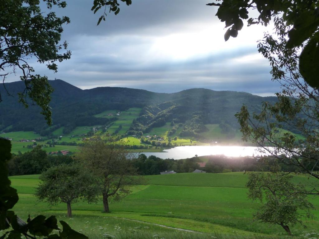 Familienferienhof Stabauer Zell am Moos Bagian luar foto