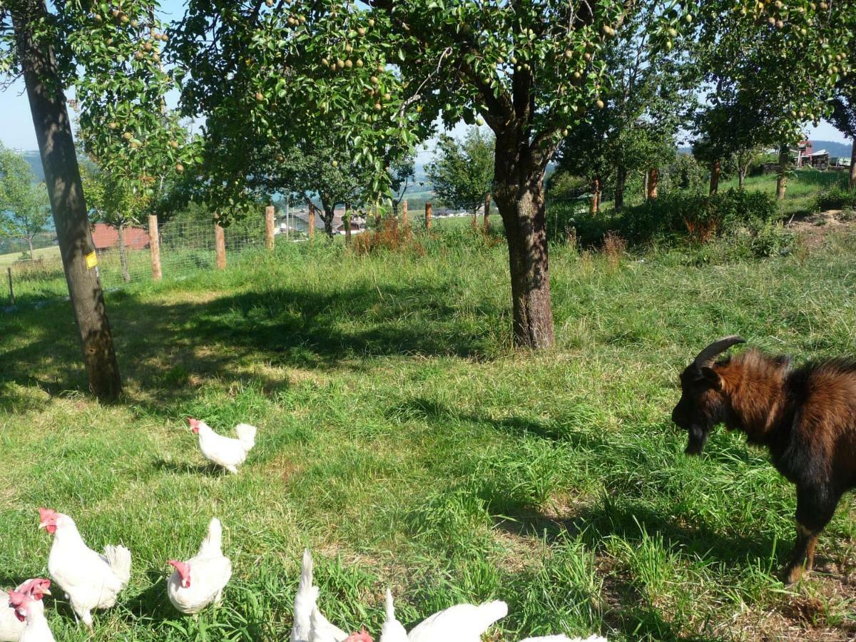 Familienferienhof Stabauer Zell am Moos Bagian luar foto